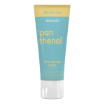 Alessandro Panthenol Heel Rescue Balm Intensiivselt toitev jalgade palsam 100ml Limited Edition