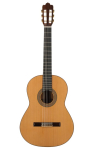 Prodipe Guitars Soloist 700 4/4 - gitara klasyczna | PROSOLOIST700 | 3760010256039