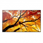 Sharp MultiSync M552 Large-Format Monitor - 55 inches 550 cd/m2, 24/7 Operation | 60006055 | 4550556130974