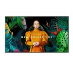 SAMSUNG Professional monitor QM55C 55 inches Matte 24h/7,500(cd/m2) 3840 x 2160 (UHD) S10 Player (Tizen 7) WiFi/BT 3 years On-Site (LH55QMCEBGCXEN) | LH55QMCEBGCXEN | 8806094992137