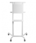 NEWSTAR Neomounts NS-M1250WHITE TV trolley 37-70" - rotatable | NS-M1250WHITE | 8717371448073