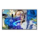 Hikvision DS-D6055UN-DP Signage Display Digital signage flat panel 139.7 cm (55") LED Wi-Fi 500 cd/m&sup2; 4K Ultra HD Grey Built-in processor Android 13 24/7 | DS-D6055UN-DP | 6942160408286