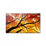 Sharp Display MultiSync M322 32-inch 24/7 | 60006052 | 4550556176682