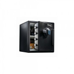 Master Lock  LFW123FTC safe Steel Black | LFW123FTC | 0049074025663