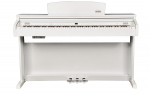 ARTESIA  DP-3+ WH PVC - pianino cyfrowe | DP-3 WH | 6955790610912