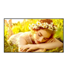 LG Electronics Monitor 65UL5Q-M 500cd/m2 UHD 24/7 | 65UL5Q-M | 8806096790380