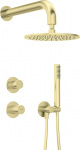 Deante Concealed shower set with shower head | NHS_R9YK | 5907650886440