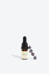 Eeterlik &otilde;li Lavender