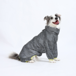 PAW COUTURE Lemmiklooma vihmamantel hall, suurus 3XL