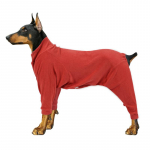 PAW COUTURE Lemmiklooma kombinesoon punane, 3XL