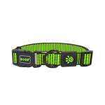 DOCO Kaelarihm koerale Martini Bean S, roheline