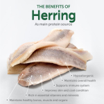 NATURE'S PROTECTION SUPERIOR CARE teraviljavaba kuivtoit heeringaga v&auml;ikest kasvu valge karvaga t&auml;iskasvanud koertele 1,5 kg