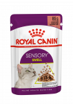 ROYAL CANIN FHN Sensory Smell gravy, konservs&ouml;&ouml;t t&auml;iskasvanud kassidele 85 g