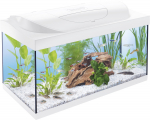 TETRA Akvaariumi komplekt valge, 54 L