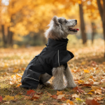 PAW COUTURE Lemmiklooma vihmamantel must, suurus S