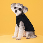 PAW COUTURE Lemmiklooma kampsun must, suurus M