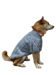 PAW COUTURE Lemmiklooma kampsun sinine, XL