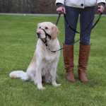 TRIXIE Suukorv Top Trainer koertele 27 cm
