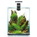 AQUAEL Shrimp Set D&N akvaarium krevettidele komplekt 20 l, must