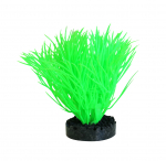 SYDEKO Akvaariumi taim, 11 cm