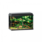 JUWEL Akvaarium Primo 70 musta kaanega, 70 l, 70 l, 61 &times; 31 &times; 44 cm