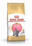 ROYAL CANIN kuivtoit briti l&uuml;hikarvalist t&otilde;ugu kassipoegadele 2 kg