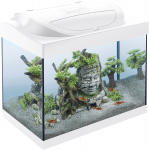 TETRA Starter Line LED Crayfish akvaariumi komplekt, 30 L valge, 30 L