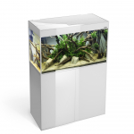 AQUAEL Ristk&uuml;likukujuline akvaarium GlOOSY SET CUBE valge, 80 &times; 35 &times; 54 cm, 125 l