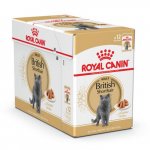 ROYAL CANIN British Shorthair, konservs&ouml;&ouml;t t&auml;iskasvanud kassidele 87 g x 12