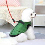 PAW COUTURE Lemmiklooma vest roheline, suurus L