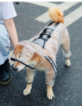 PAW COUTURE koerte kombinesoon-vihmamantel valge, S