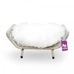 PETREBELS Magamisase loomale Rome hall