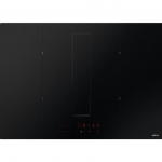 Pliidiplaat koos &otilde;hupuhastiga NIKOLATESLA FIT RAW BR/A/72