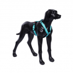 Rukka Form traksid XXS 20 mm x 35-55 cm, t&uuml;rkiis