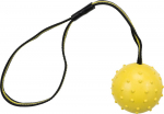 Koera m&auml;nguasi Ball on a strap kummipall 6cm/35cm
