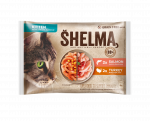 Shelma kassieined KITTEN 4x85g l&otilde;hefileed ja kalkunifileed kastmes
