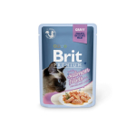 Brit Premium Cat Delicate Salmon Fillets in Gravy m&auml;rgtoit steriliseeritud kassidele 85g