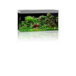 Akvaarium Rio LED 350 L hall