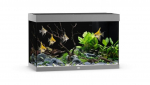 Akvaarium Rio LED 290 L hall