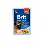 Brit Premium Delicate Chicken Fillets in Gravy m&auml;rgtoit steriliseeritud kassidele 85g