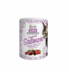 Brit Care Cat Snack SuperFruits Salmon kassimaius l&otilde;hega 100g
