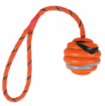 Koera m&auml;nguasi Wavy Ball on a rope 6cm/30cm