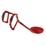 Kassi traksid+jalutusrihm Rogz AlleyCat XS punane