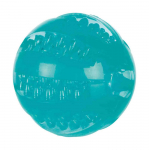 Koera m&auml;nguasi Denta Fun Ball 6cm ujuv