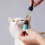 CandidTails CBD 250mg laia spektriga l&otilde;he maitseline kanepi &otilde;li kassidele 10ml