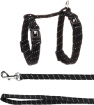 Flamingo Elza kassipoja traksid ja rihm, must