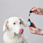 CandidTails CBD 1000mg laia spektriga kanepi &otilde;li suurtele koertele 20 ml