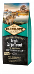 CarniLove Fresh Carp &  Trout koeratoit 12 kg