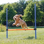 DogActivity Agility hurdle plastik123&times;115 cm sinine/oranž