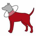 Kaelarihm Protective, pol&uuml;ester/vaht, L: 46&ndash;49 cm/24 cm, hall